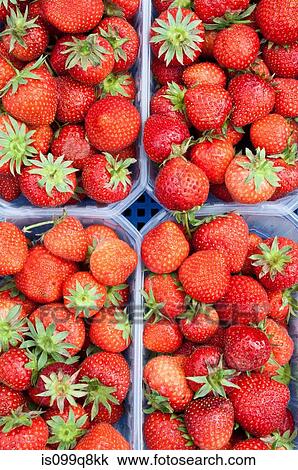 Strawberries in containers View Large Photo Image Stock Image - Strawberries in containers. Fotosearch
