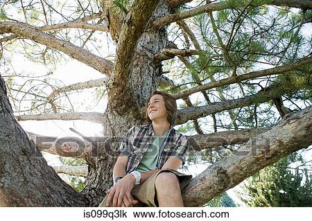 Teenage boy sitting in tree, portrait View Large Photo Image Stock Image - Teenage boy sitting in tree, portrait. Fotosearch