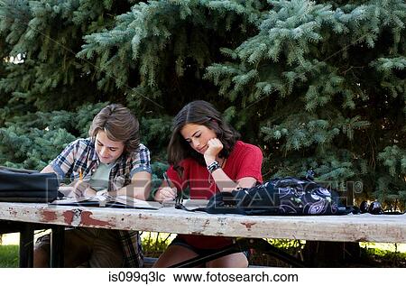 Teenage couple studying on picnic table in park View Large Photo Image Stock Image - Teenage couple studying on picnic table in park. Fotosearch