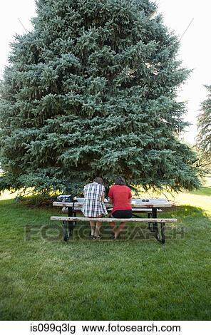 Stock Image - Teenage couple studying on picnic table in park, rear view. Fotosearch
