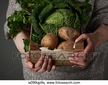 Woman holding wooden crate of vegetables View Large Photo Image Stock Photography - Woman holding wooden crate of vegetables. Fotosearch