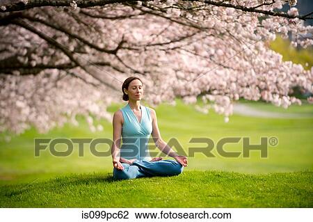 Woman in lotus position under cherry tree View Large Photo Image Stock Image - Woman in lotus position under cherry tree. Fotosearch