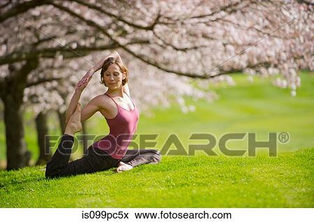 Woman in pigeon yoga pose under cherry tree View Large Photo Image Stock Photo - Woman in pigeon yoga pose under cherry tree. Fotosearch
