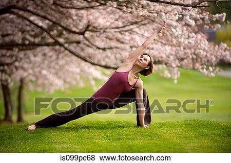 Stock Photo - Woman in side angle yoga position under cherry tree. Fotosearch