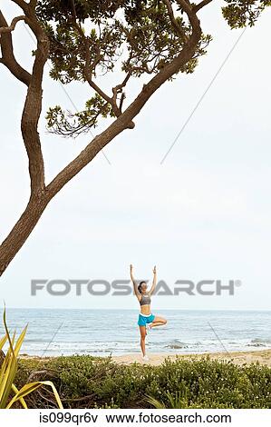Young woman stretching on beach View Large Photo Image Stock Photo - Young woman stretching on beach. Fotosearch