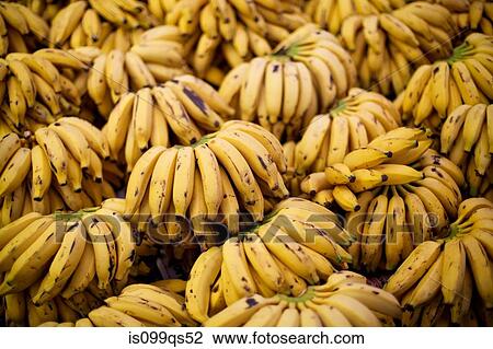 Bananas View Large Photo Image Stock Image - Bananas. Fotosearch