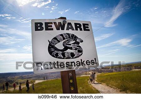 Beware Rattesnakes! Sign in Badlands National Park, South Dakota, USA View Large Photo Image Stock Photograph - Beware Rattesnakes! Sign in Badlands National Park, South Dakota, USA. Fotosearch