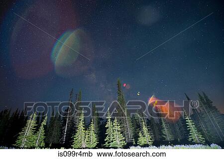 Stock Image - Lens flare over trees, Mount Rainier, Washington, USA. Fotosearch
