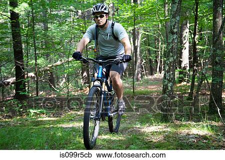 Man mountain biking in forest View Large Photo Image Stock Image - Man mountain biking in forest. Fotosearch