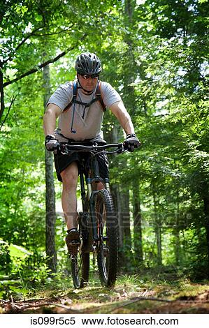 Man mountain biking in forest View Large Photo Image Stock Photography - Man mountain biking in forest. Fotosearch
