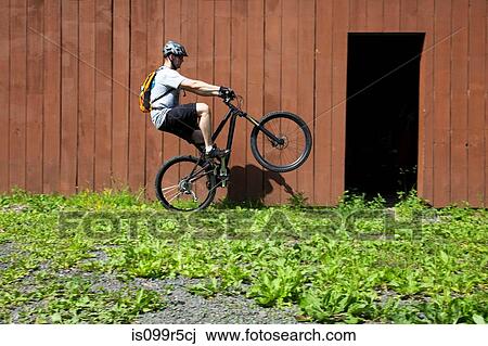 Stock Image - Mountain biker riding on one wheel outside barn. Fotosearch