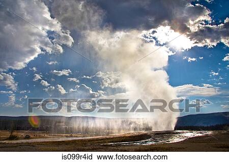 Old Faithful geyser erupting, Yellowstone National Park, Wyoming, USA View Large Photo Image Stock Image - Old Faithful geyser erupting, Yellowstone National Park, Wyoming, USA. Fotosearch