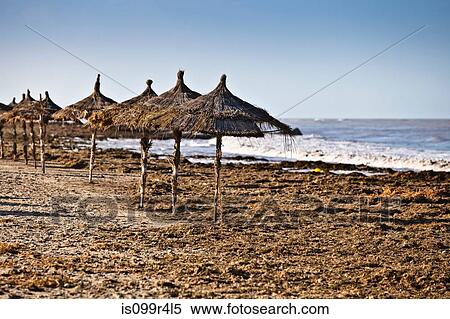 Parasols on beach on island of Djerba, Tunisia View Large Photo Image Stock Photography - Parasols on beach on island of Djerba, Tunisia. Fotosearch