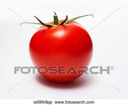 Red tomato View Large Photo Image Stock Photography - Red tomato. Fotosearch