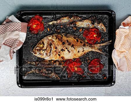 Roasted dorade fish meal on tray View Large Photo Image Stock Image - Roasted dorade fish meal on tray. Fotosearch