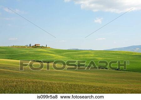 Stock Photo - Rolling landscape, Tuscany, Italy. Fotosearch