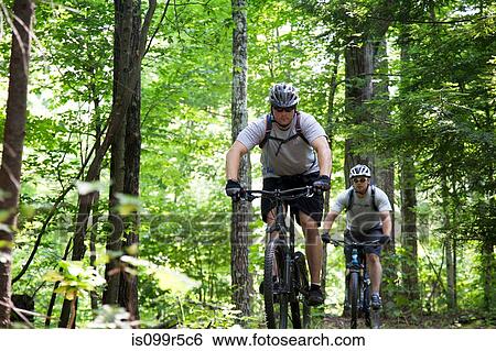 Two men mountain biking in forest View Large Photo Image Stock Photograph - Two men mountain biking in forest. Fotosearch