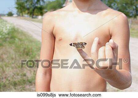Boy holding butterfly on little finger View Large Photo Image Stock Photograph - Boy holding butterfly on little finger. Fotosearch