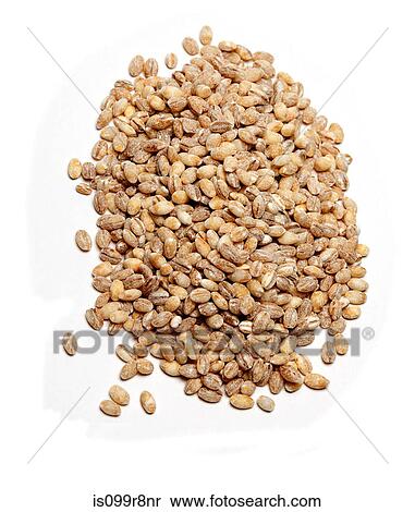 Pearl barley View Large Photo Image Stock Photography - Pearl barley. Fotosearch