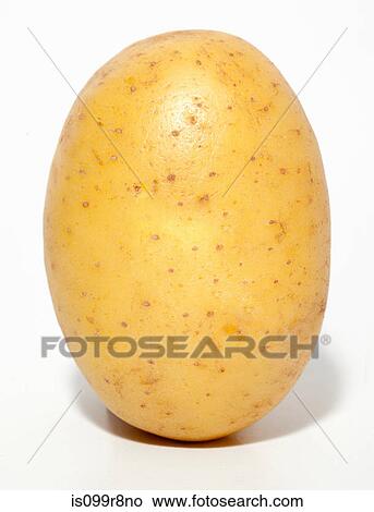 Picture - Raw potato. Fotosearch