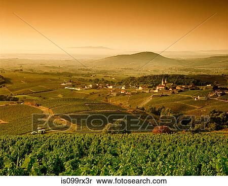 Rural landscape between Vinzelles and Saint-Amour-Bellevue, Saone-et-Loire, Bourgogne, France View Large Photo Image Stock Photography - Rural landscape between Vinzelles and Saint-Amour-Bellevue, Saone-et-Loire, Bourgogne, France. Fotosearch