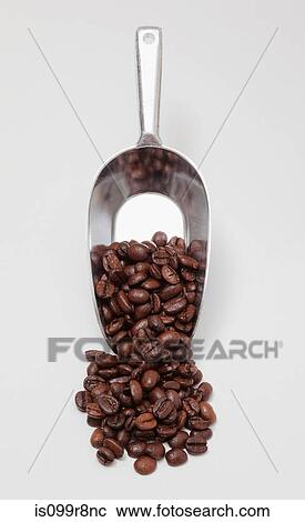 Scoop of coffee beans View Large Photo Image Stock Image - Scoop of coffee beans. Fotosearch