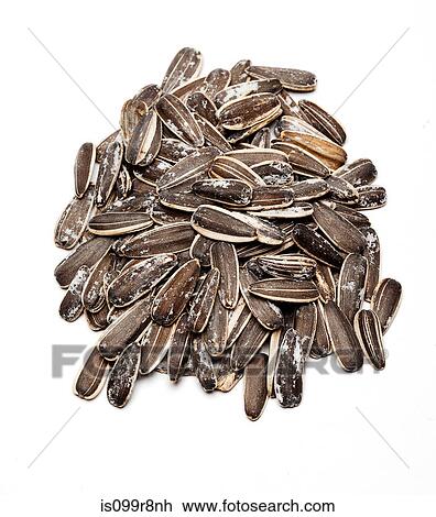 Sunflower seeds View Large Photo Image Stock Image - Sunflower seeds. Fotosearch