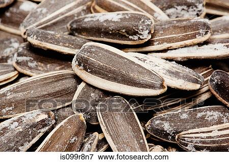 Sunflower seeds View Large Photo Image Stock Photo - Sunflower seeds. Fotosearch