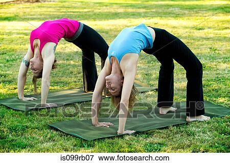 Stock Photo - Two women bending over backwards on yoga mats outdoors. Fotosearch