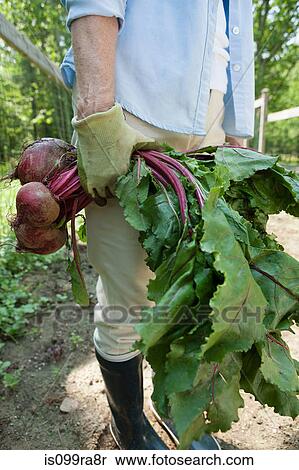 Stock Photography - Woman holding beetroot. Fotosearch