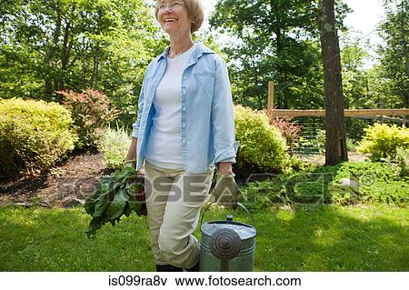 Woman with watering can and beetroot in garden View Large Photo Image Stock Photo - Woman with watering can and beetroot in garden. Fotosearch