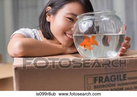 Young woman looking at goldfish on moving box View Large Photo Image Stock Image - Young woman looking at goldfish on moving box. Fotosearch