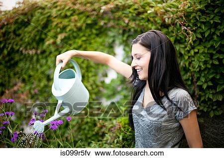 Young woman watering flowers in garden View Large Photo Image Stock Photo - Young woman watering flowers in garden. Fotosearch