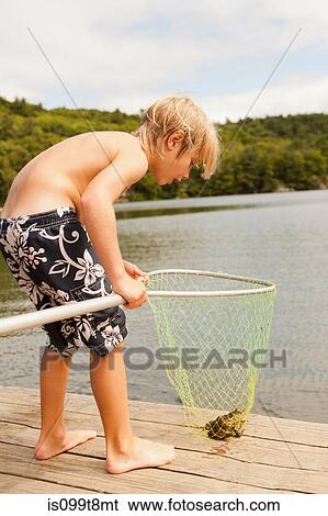 Boy looking at frog caught in net View Large Photo Image Stock Photograph - Boy looking at frog caught in net. Fotosearch
