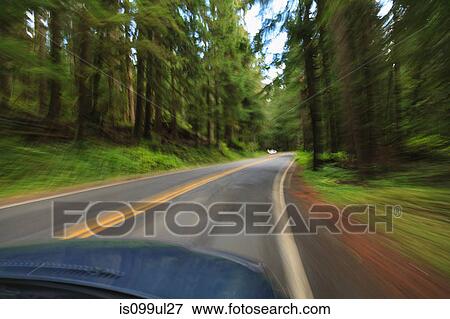 Stock Photo - Driving through forest, Mount Rainier National Park, Washington, USA. Fotosearch