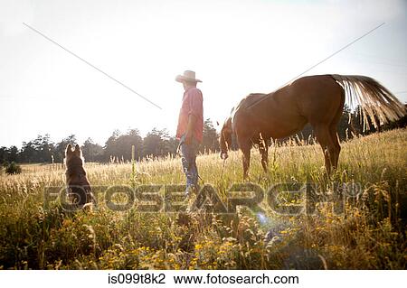 Man in a field with horse and dog View Large Photo Image Stock Image - Man in a field with horse and dog. Fotosearch
