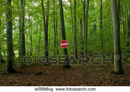 No Entry sign in a forest View Large Photo Image Stock Image - No Entry sign in a forest. Fotosearch