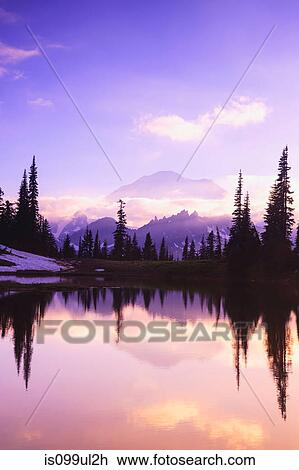 Stock Image - Reflecting pond near Tipsoo Lake at sunset, Mount Rainier National Park, Washington, USA. Fotosearch