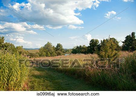 Rural scene View Large Photo Image Stock Image - Rural scene. Fotosearch