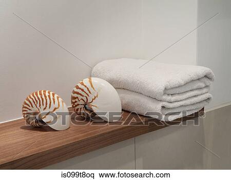 Seashells and towels on shelf View Large Photo Image Stock Photography - Seashells and towels on shelf. Fotosearch