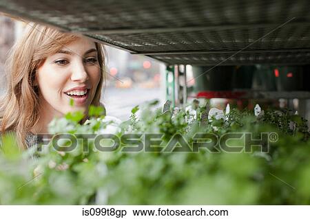 Young woman choosing plants from stall View Large Photo Image Stock Photography - Young woman choosing plants from stall. Fotosearch