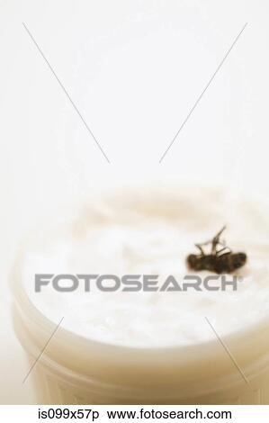 Dead fly in ointment View Large Photo Image Stock Photography - Dead fly in ointment. Fotosearch