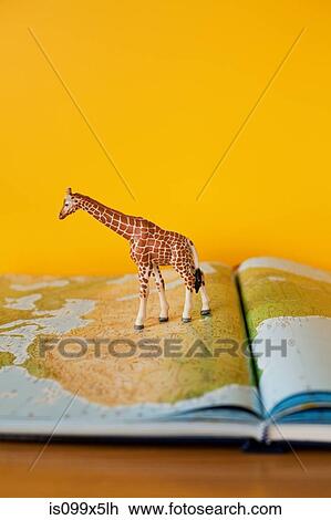Giraffe on map of Africa View Large Photo Image Stock Image - Giraffe on map of Africa. Fotosearch