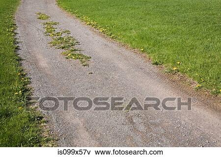 Gravel lane through grass field View Large Photo Image Stock Photo - Gravel lane through grass field. Fotosearch