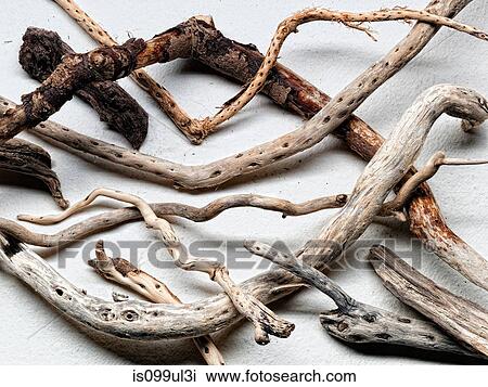 Pieces of driftwood View Large Photo Image Stock Image - Pieces of driftwood. Fotosearch