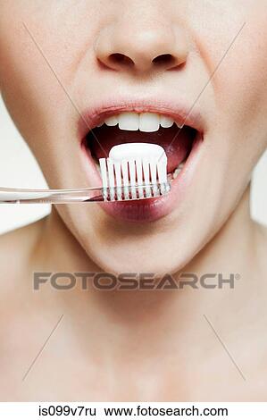 Woman brushing teeth View Large Photo Image Stock Photograph - Woman brushing teeth. Fotosearch