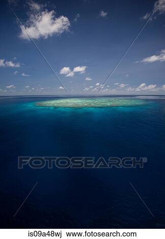 Stock Image - Coral reef in tropical water. Fotosearch