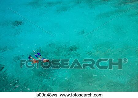 Couple snorkeling in tropical water View Large Photo Image Stock Photograph - Couple snorkeling in tropical water. Fotosearch