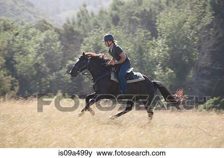 Man riding horse in rural landscape View Large Photo Image Stock Photo - Man riding horse in rural landscape. Fotosearch
