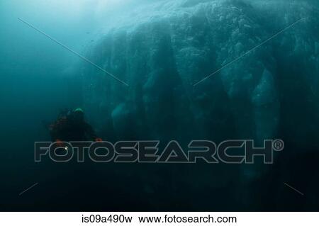Man scuba diving by glacier View Large Photo Image Stock Photo - Man scuba diving by glacier. Fotosearch
